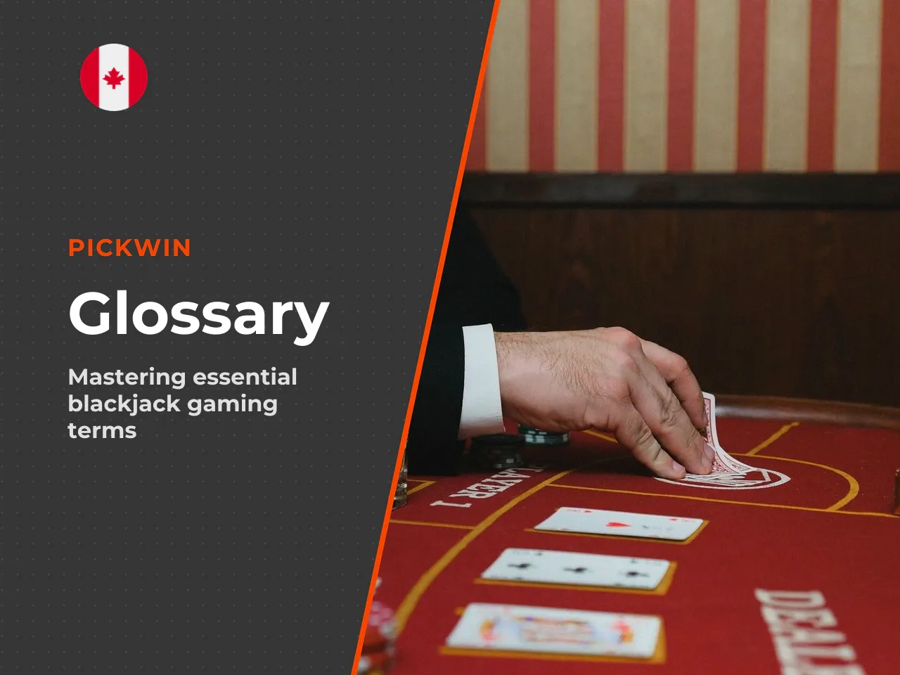 11. Glossary