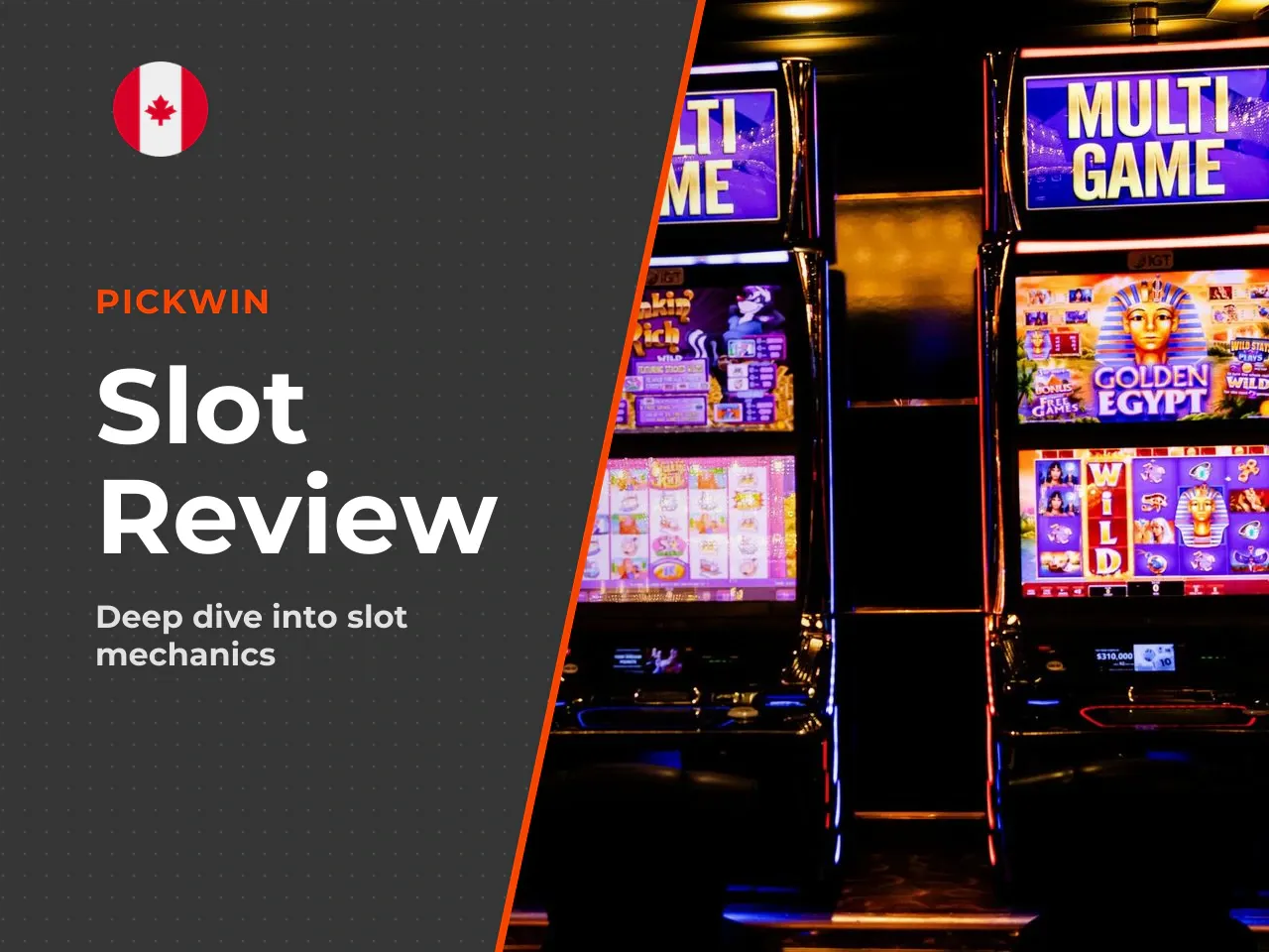 Book of Dead Slot Review Demo