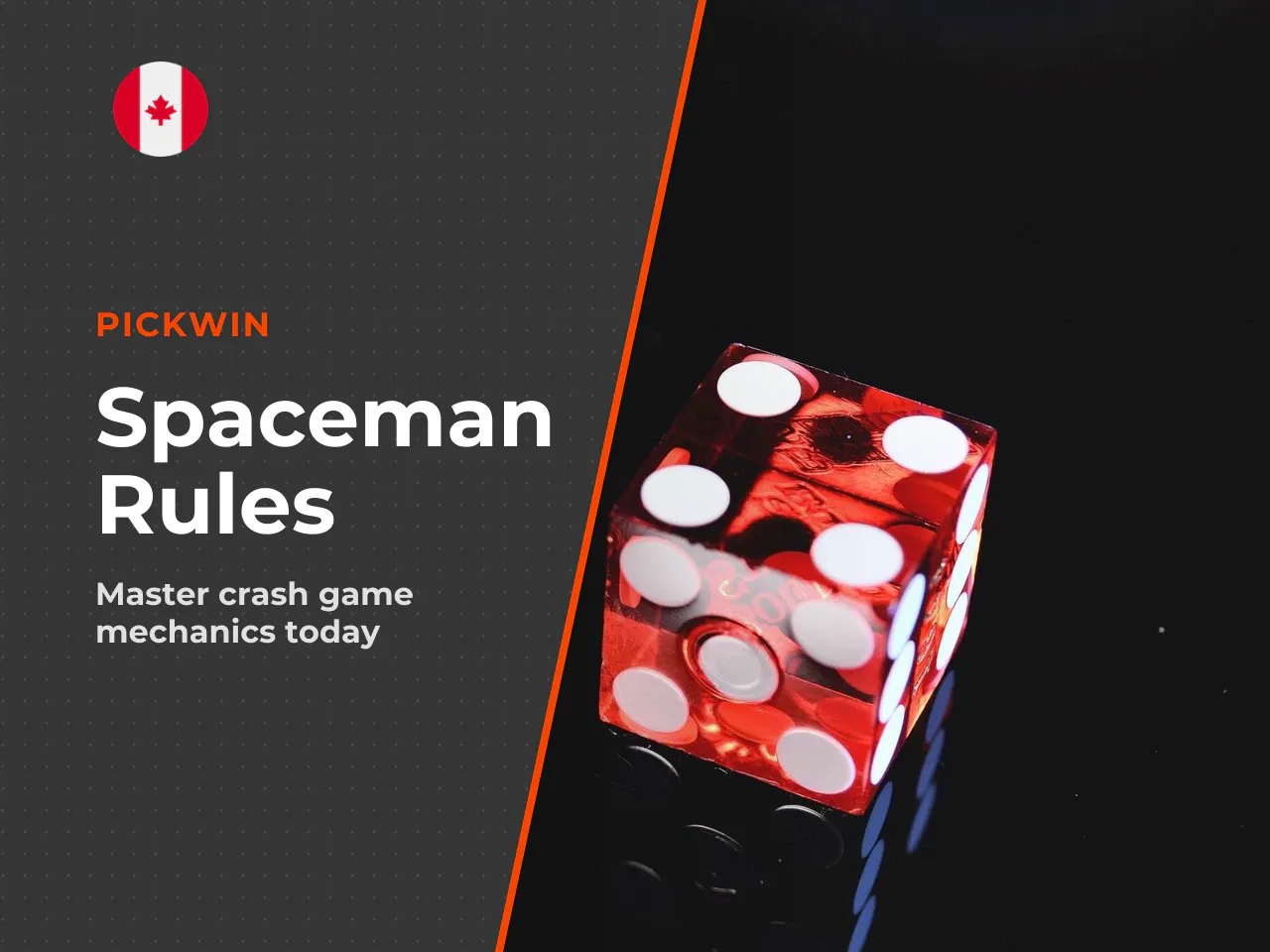 Bet, Multiplier and Cashout in Every